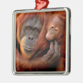 Kutest Baby Animals | Orangutan Mam & Baby Metalen Ornament (Links)