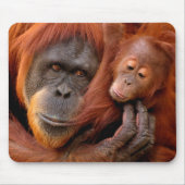 Kutest Baby Animals | Orangutan Mam & Baby Muismat (Voorkant)