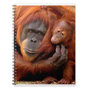 Kutest Baby Animals   Orangutan Mam & Baby Notitieboek