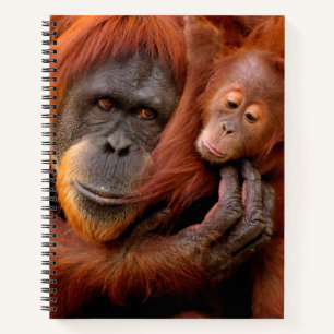 Kutest Baby Animals   Orangutan Mam & Baby Notitieboek