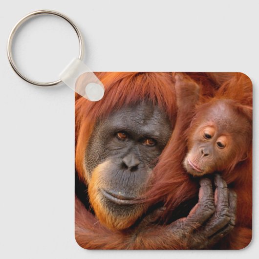 Kutest Baby Animals | Orangutan Mam & Baby Sleutelhanger (Voorkant)