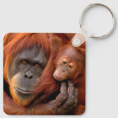 Kutest Baby Animals | Orangutan Mam & Baby Sleutelhanger (Achterkant)