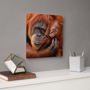 Kutest Baby Animals Orangutan Mam & Baby Vierkante Klok