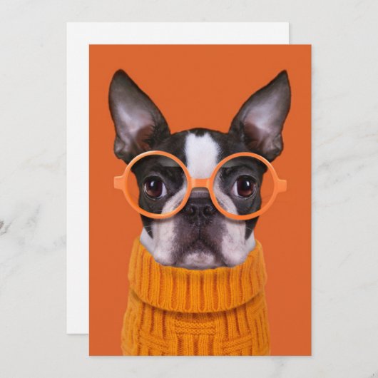 Kutest Baby Animals | Oranje Boston Terrier Bedankkaart (Voorkant / Achterkant)