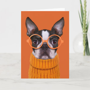 Kutest Baby Animals Oranje Boston Terrier Kaart