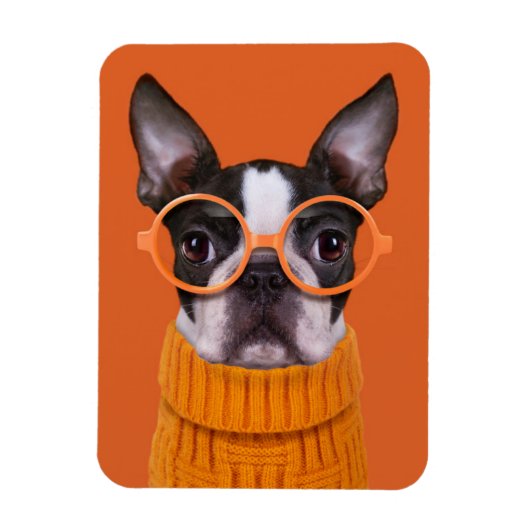 Kutest Baby Animals | Oranje Boston Terrier Magneet (Verticaal)