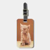 Kutest Baby Animals | Oranje Tabby Kitten Bagagelabel (Voorkant verticaal)