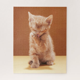 Kutest Baby Animals   Oranje Tabby Kitten Legpuzzel