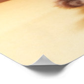 Kutest Baby Animals | Oranje Tabby Kitten Poster (Hoek)