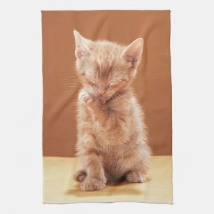Kutest Baby Animals Oranje Tabby Kitten Theedoek