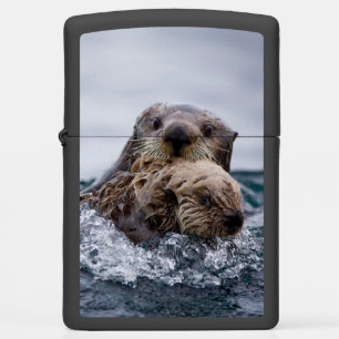Kutest Baby Animals Otter Baby en moeder