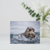 Kutest Baby Animals | Otter Baby en moeder Briefkaart (Staand voorkant)