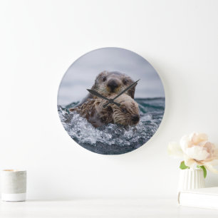 Kutest Baby Animals   Otter Baby en moeder Grote Klok