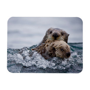 Kutest Baby Animals Otter Baby en moeder Magneet