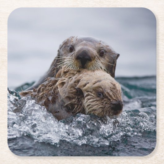 Kutest Baby Animals | Otter Baby en moeder Vierkante Kartonnen Onderzetter (Voorkant)