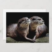Kutest Baby Animals | Otters Holding Hands Bedankkaart (Voorkant / Achterkant)