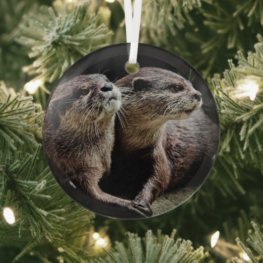 Kutest Baby Animals | Otters Holding Hands Glas Ornament (Insitu)
