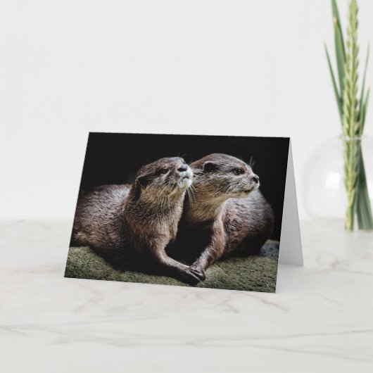 Kutest Baby Animals | Otters Holding Hands Kaart (Voorkant)
