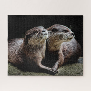 Kutest Baby Animals Otters Holding Hands Legpuzzel