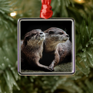 Kutest Baby Animals   Otters Holding Hands Metalen Ornament