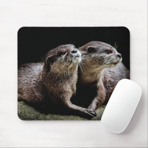 Kutest Baby Animals Otters Holding Hands Muismat