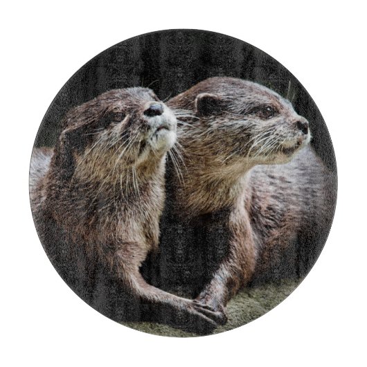 Kutest Baby Animals | Otters Holding Hands Snijplank (Voorkant)