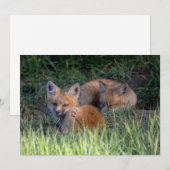 Kutest Baby Animals | Paar van Red Fox Kit Sibling Bedankkaart (Voorkant / Achterkant)