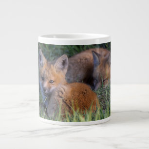 Kutest Baby Animals   Paar van Red Fox Kit Sibling Extra Grote Beker