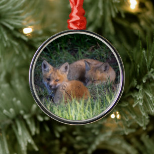 Kutest Baby Animals Paar van Red Fox Kit Sibling Metalen Ornament