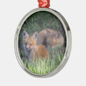 Kutest Baby Animals | Paar van Red Fox Kit Sibling Metalen Ornament (Links)