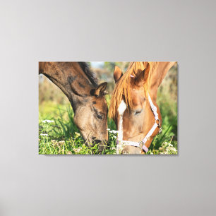 Kutest Baby Animals   Paardenkool Canvas Afdruk