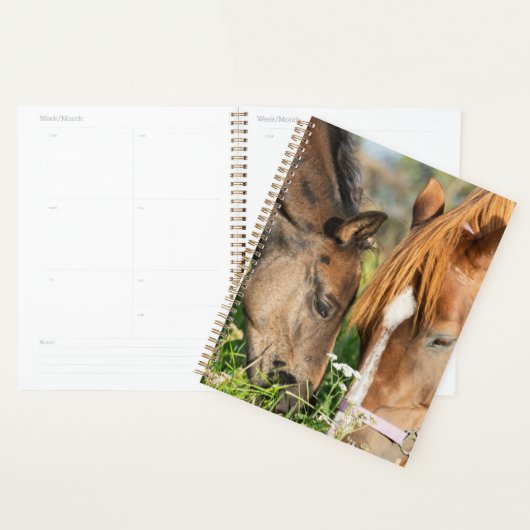 Kutest Baby Animals | Paardenkool Planner (Display)