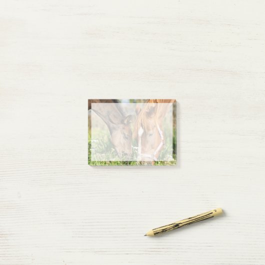 Kutest Baby Animals | Paardenkool Post-it® Notes (Op bureau)