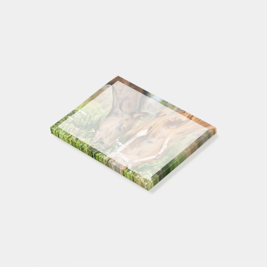 Kutest Baby Animals | Paardenkool Post-it® Notes (Schuin)