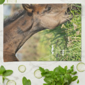 Kutest Baby Animals | Paardenkool Theedoek (Gevouwen)