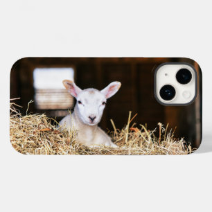 Kutest Baby Animals Pasgeboren lammeren Case-Mate iPhone 14 Hoesje