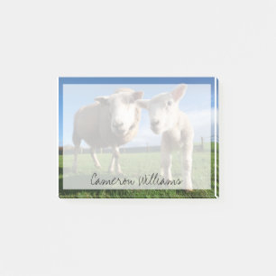 Kutest Baby Animals Pasgeboren lammeren en mama Post-it® Notes