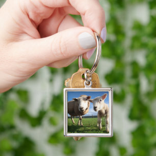 Kutest Baby Animals Pasgeboren lammeren en mama Sleutelhanger