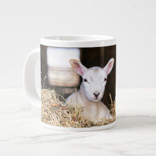 Kutest Baby Animals   Pasgeboren lammeren Extra Grote Beker
