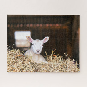 Kutest Baby Animals Pasgeboren lammeren Legpuzzel