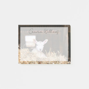 Kutest Baby Animals   Pasgeboren lammeren Post-it® Notes