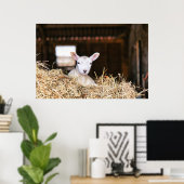 Kutest Baby Animals | Pasgeboren lammeren Poster (Thuiskantoor)