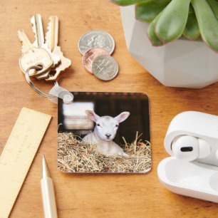 Kutest Baby Animals Pasgeboren lammeren Sleutelhanger