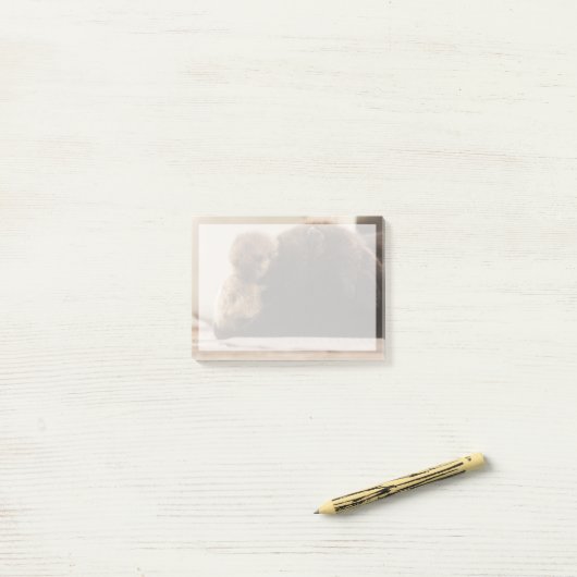 Kutest Baby Animals | Pasgeboren otterpop Post-it® Notes (Op bureau)