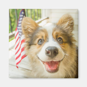 Kutest Baby Animals Patriotic Corgi Puppy Magneet