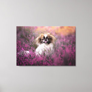 Kutest Baby Animals Pekingese Puppy Canvas Afdruk
