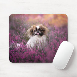 Kutest Baby Animals   Pekingese Puppy Muismat