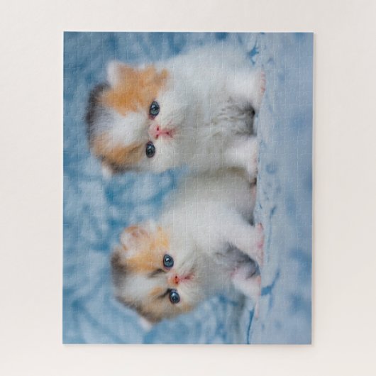 Kutest Baby Animals | Perzisch Calico Kitten Legpuzzel (Verticaal)