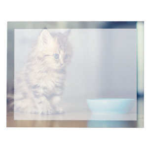 Kutest Baby Animals   Perzisch Keuten met blauwe o Notitieblok