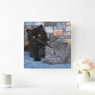 Kutest Baby Animals   Perzische Kittens in Blanket Vierkante Klok